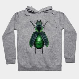 Malachite Beetle Hoodie